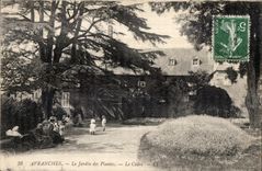 CPA Avranches Le Jardin des Plantes Le Cedre