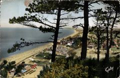 CPA Carolles (Manche) La Plage a travers les Arbres 