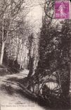 CPA Carolles (Petir Chemin dans Peintres