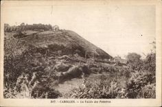 CPA Carolles La Vallee des Peintres