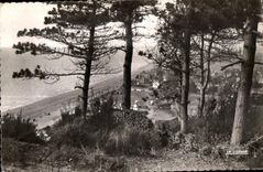 CPA Carolles Vue sur la Plage 