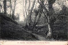CPA Carolles Sous Bois dans la Vallee des Peintres