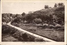 CPA Carolles Route du Pignon Butor