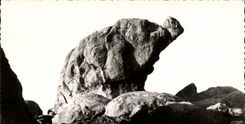 CPA Iles De Chausee L Elephant