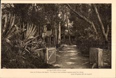 CPA Ile de Fort Cros (Var) Vers le Chateau de mere Un chemin de lumiere magique pour les armes Jean d Agreve 