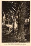 CPA Ile de Port Cros (Var) Derriere un rideau de Palmiers et la Eucalyyotus Le Manoir d Helene 