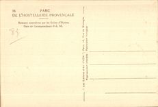 CPA Ile De Port Cros (Var) Le fouilliage soyaux des Pins d Alep