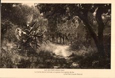 CPA Ile De Port Cros (Var) Le Vallon de la Solitde a la grace d un sentier de fee L lle Fee (Claude Balyne)