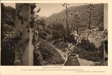 CPA Ile De Port Cros (Var) Port Cres a dans la mer et le soieil un charme d Orient et un aspect de jeunesse