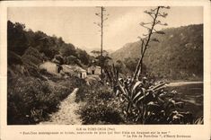 CPA Ile de Port Cros (Var) Port Cros montagneure et boinee couronnee de pins qui font d elle un bouquet sur la mer La 