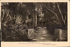 CPA Le de Port Cros (Var) Vers le Chateau de feerie Un chemin de lumiere magique pour les 