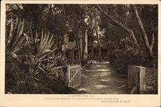 CPA Le de Port Cros (Var) Vers le Chateau de feerie