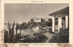 CPA Ile de Port Cros Le Chateau fort (Francois) et le Pettit Port