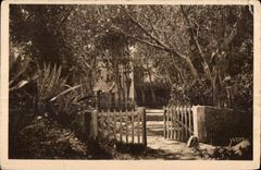 CPA Ile De Port Cros (Var) Le Manour d Helene et de Jean d Agree dans un hameau fremissant d Eucalyptus elances