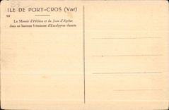 CPA Ile De Port Cros (Var) Le Manour d Helene et de Jean d Agree dans un hameau fremissant d Eucalyptus elances