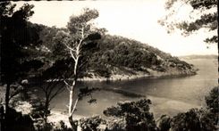 CPA Environs de La Captc 4160 Port Cros (Var) Un coin de la Bare