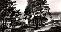 CPSM Saint Tropez Echappee sur le Coife