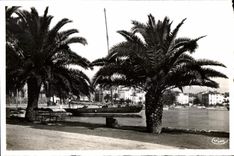 CPA Sanary sur Mer (Var) Un coin du Quai