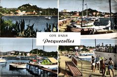 CPA Cote d Azur Les Iles D Or Porquerolles