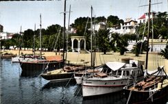 CPA Cote d Azur Bandol Yachts dans le Port Bateaux