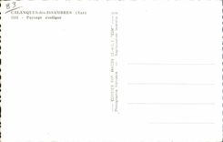 CPA Calanques des Issambres Paysage exotique