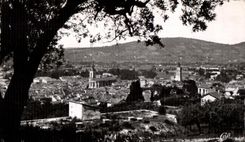 CPA Draguignan Vue a travers oliviers