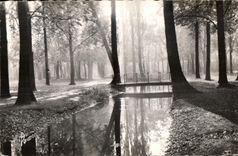 CPSM Images of France While strolling with the Wood of Vincennes Landscape Fall