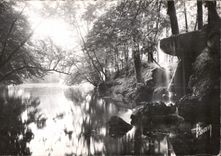 CPA Vincennes Images Of France While strolling with the Wood Of Coscade