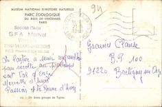 CPSM Vincennes National Museum natural history Zoological gardens Of the Wood Of Paris Zoo Tiger