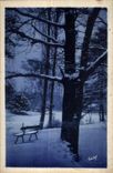 CPA En Flinant au Bois De Vincennes Pres De la Porte Jaune En hiver