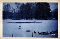 CPA While strolling with the wood of Vincennes the lake of Tiny in winter