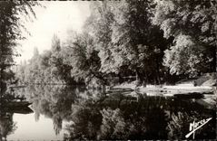 CPA the Chennevieres Game preserve on the Marne Close to the Restaurant of I Island Love