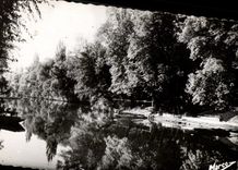 CPA the Game preserve On the Chennevieres Marne on the Marne Close to the Restaurant of I Island Love