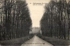 CPA Brevannes Allee du Chateau