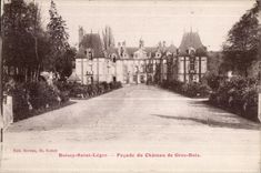 CPA Boissy Saint Light Frontage of the Castle of Large Wood