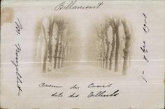 Real photo Billancourt Avenue of the Course known as of the Limes