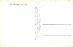 CPSM Abbey of Royaumont Asnieres on Oise View (dimension Is)