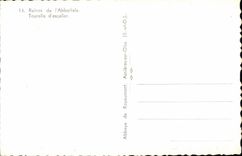 Abadia de CPSM de Royaumont Asnieres en las ruinas de Oise de la escalera abbatiable de la torrecilla de I