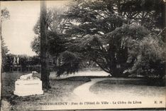 CPA Montmorency Park of I Town hall the Cedar of Lebanon EM