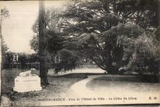 CPA Montmorency Park of I Town hall the Cedar of Lebanon Lebanon