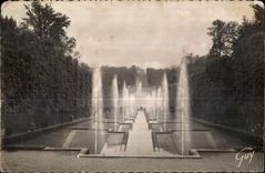 CPA Seals the Field Of and its Wonders Large Cascades and the green Carpet