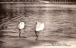 CPA Seals Park Of (the Seine) the Swans In the Octogonal Basin Of Swan