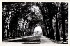 CPA Seals Park Of Allee of the duchess