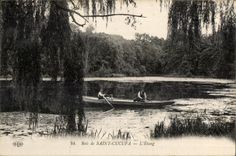 CPA Seals Wood De Cucufa Pond Boat