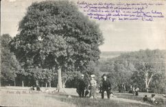 CPA Saint Cloud Park