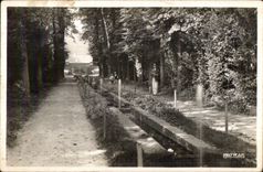 CPA SAINT CLOUD L Allee des Goulottes