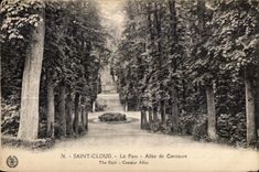 CPA Saint Cloud the Park Allee of Centaur