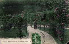 CPA Saint Cloud the Rosery of trifle