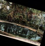 CPA Saint Cloud Avoids It LaMare Bichea