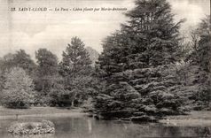 CPA Saint Cloud Le Parc Cedre plante par Marie Antoinette